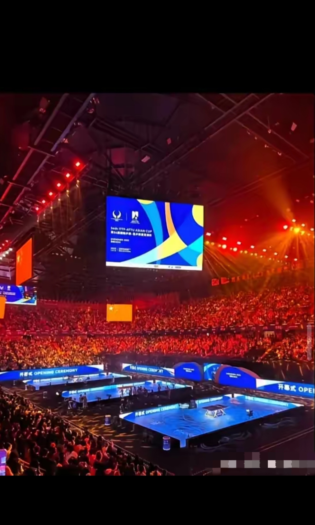 关于波兰队绝杀奥地利队，许昕点燃赛场的信息