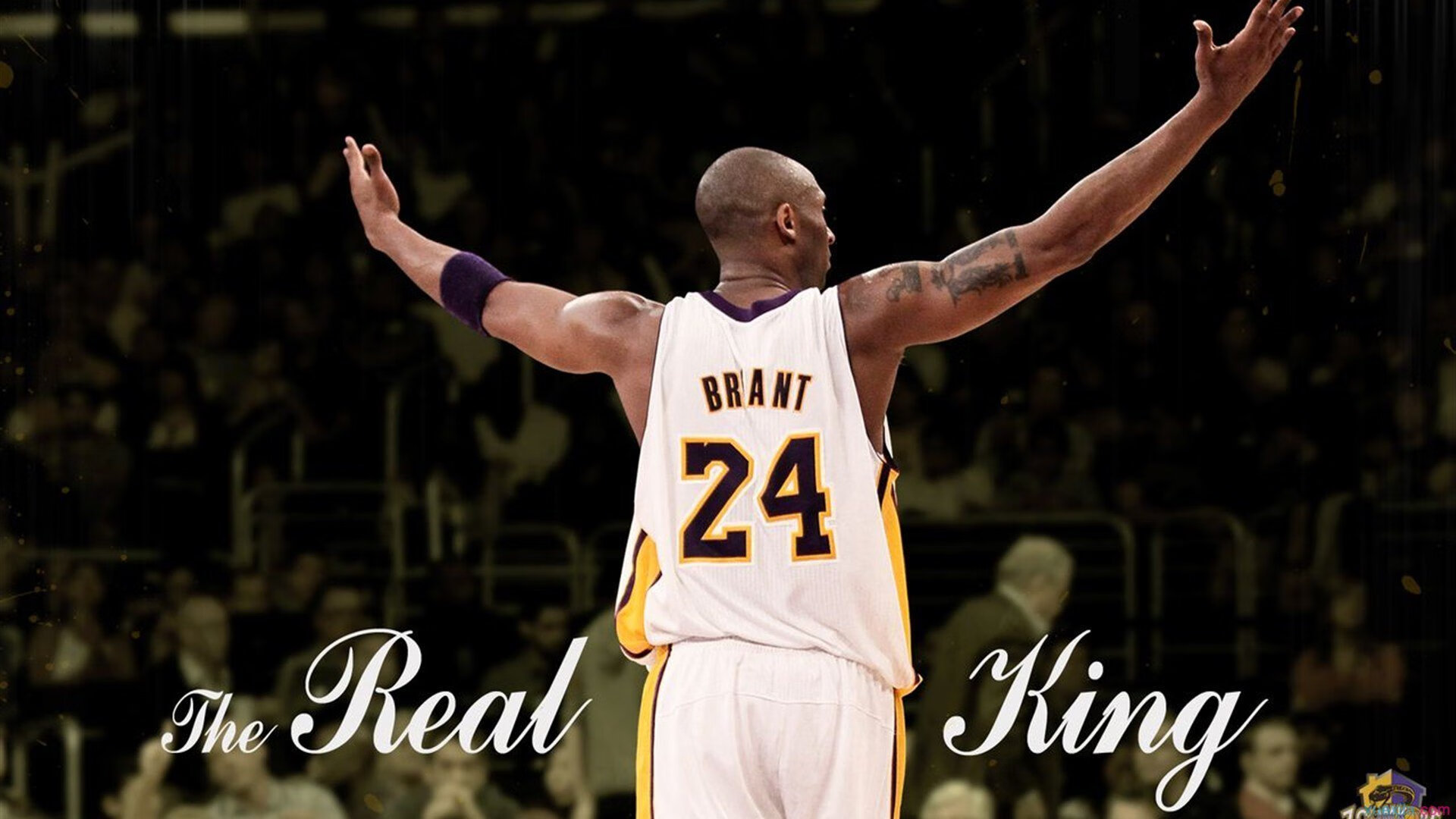 武切维奇点燃赛场，马刺击溃太阳，一场团队篮球的胜利